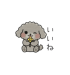 クレヨン画トイプー グレー（日常会話）（個別スタンプ：4）