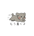 クレヨン画トイプー グレー（日常会話）（個別スタンプ：5）