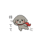 クレヨン画トイプー グレー（日常会話）（個別スタンプ：6）