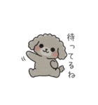 クレヨン画トイプー グレー（日常会話）（個別スタンプ：7）