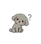クレヨン画トイプー グレー（日常会話）（個別スタンプ：8）