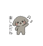 クレヨン画トイプー グレー（日常会話）（個別スタンプ：11）