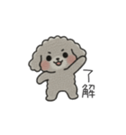 クレヨン画トイプー グレー（日常会話）（個別スタンプ：12）