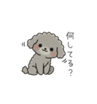 クレヨン画トイプー グレー（日常会話）（個別スタンプ：13）