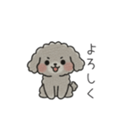 クレヨン画トイプー グレー（日常会話）（個別スタンプ：15）