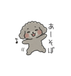 クレヨン画トイプー グレー（日常会話）（個別スタンプ：16）