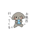 クレヨン画トイプー グレー（日常会話）（個別スタンプ：17）