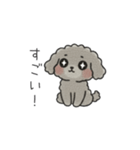 クレヨン画トイプー グレー（日常会話）（個別スタンプ：20）