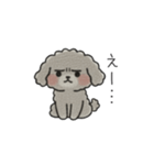 クレヨン画トイプー グレー（日常会話）（個別スタンプ：21）