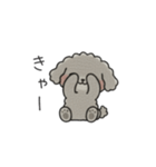 クレヨン画トイプー グレー（日常会話）（個別スタンプ：23）