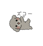 クレヨン画トイプー グレー（日常会話）（個別スタンプ：24）