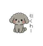 クレヨン画トイプー グレー（日常会話）（個別スタンプ：25）