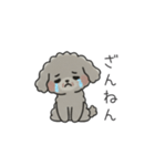 クレヨン画トイプー グレー（日常会話）（個別スタンプ：26）