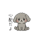 クレヨン画トイプー グレー（日常会話）（個別スタンプ：27）