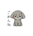 クレヨン画トイプー グレー（日常会話）（個別スタンプ：28）