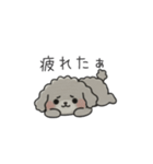 クレヨン画トイプー グレー（日常会話）（個別スタンプ：29）