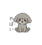 クレヨン画トイプー グレー（日常会話）（個別スタンプ：34）