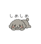 クレヨン画トイプー グレー（日常会話）（個別スタンプ：35）