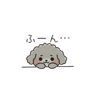 クレヨン画トイプー グレー（日常会話）（個別スタンプ：36）