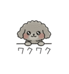 クレヨン画トイプー グレー（日常会話）（個別スタンプ：37）