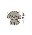 クレヨン画トイプー グレー（日常会話）（個別スタンプ：38）