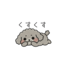 クレヨン画トイプー グレー（日常会話）（個別スタンプ：39）