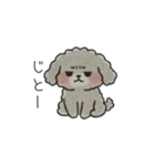 クレヨン画トイプー グレー（日常会話）（個別スタンプ：40）