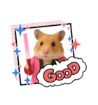 推し活ハムさん(ピンク担)（個別スタンプ：2）