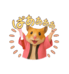 推し活ハムさん(ピンク担)（個別スタンプ：5）