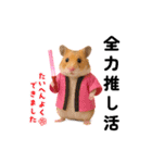 推し活ハムさん(ピンク担)（個別スタンプ：8）