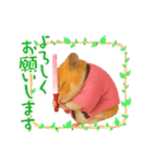 推し活ハムさん(ピンク担)（個別スタンプ：9）