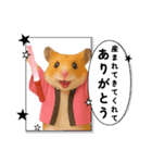 推し活ハムさん(ピンク担)（個別スタンプ：11）