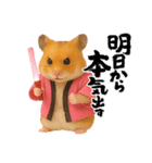 推し活ハムさん(ピンク担)（個別スタンプ：12）