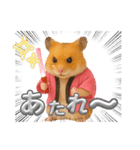 推し活ハムさん(ピンク担)（個別スタンプ：14）