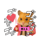 推し活ハムさん(ピンク担)（個別スタンプ：15）