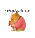 推し活ハムさん(ピンク担)（個別スタンプ：16）