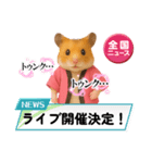 推し活ハムさん(ピンク担)（個別スタンプ：20）