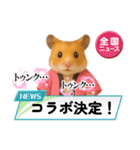 推し活ハムさん(ピンク担)（個別スタンプ：22）