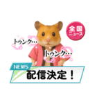 推し活ハムさん(ピンク担)（個別スタンプ：23）