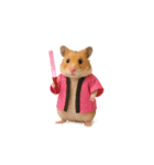 推し活ハムさん(ピンク担)（個別スタンプ：24）