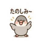 メモる文鳥 おしごと応援セット（個別スタンプ：9）