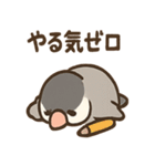 メモる文鳥 おしごと応援セット（個別スタンプ：11）