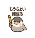 メモる文鳥 おしごと応援セット（個別スタンプ：19）