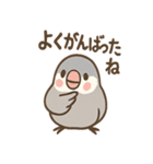 メモる文鳥 おしごと応援セット（個別スタンプ：22）
