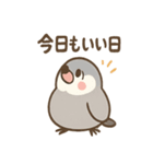 メモる文鳥 おしごと応援セット（個別スタンプ：25）