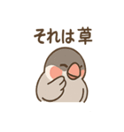 メモる文鳥 おしごと応援セット（個別スタンプ：35）