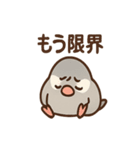 メモる文鳥 おしごと応援セット（個別スタンプ：39）