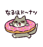 ダジャレ！チベットスナギツネ（個別スタンプ：1）