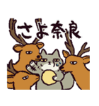 ダジャレ！チベットスナギツネ（個別スタンプ：5）