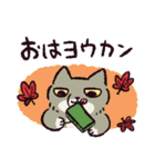 ダジャレ！チベットスナギツネ（個別スタンプ：13）